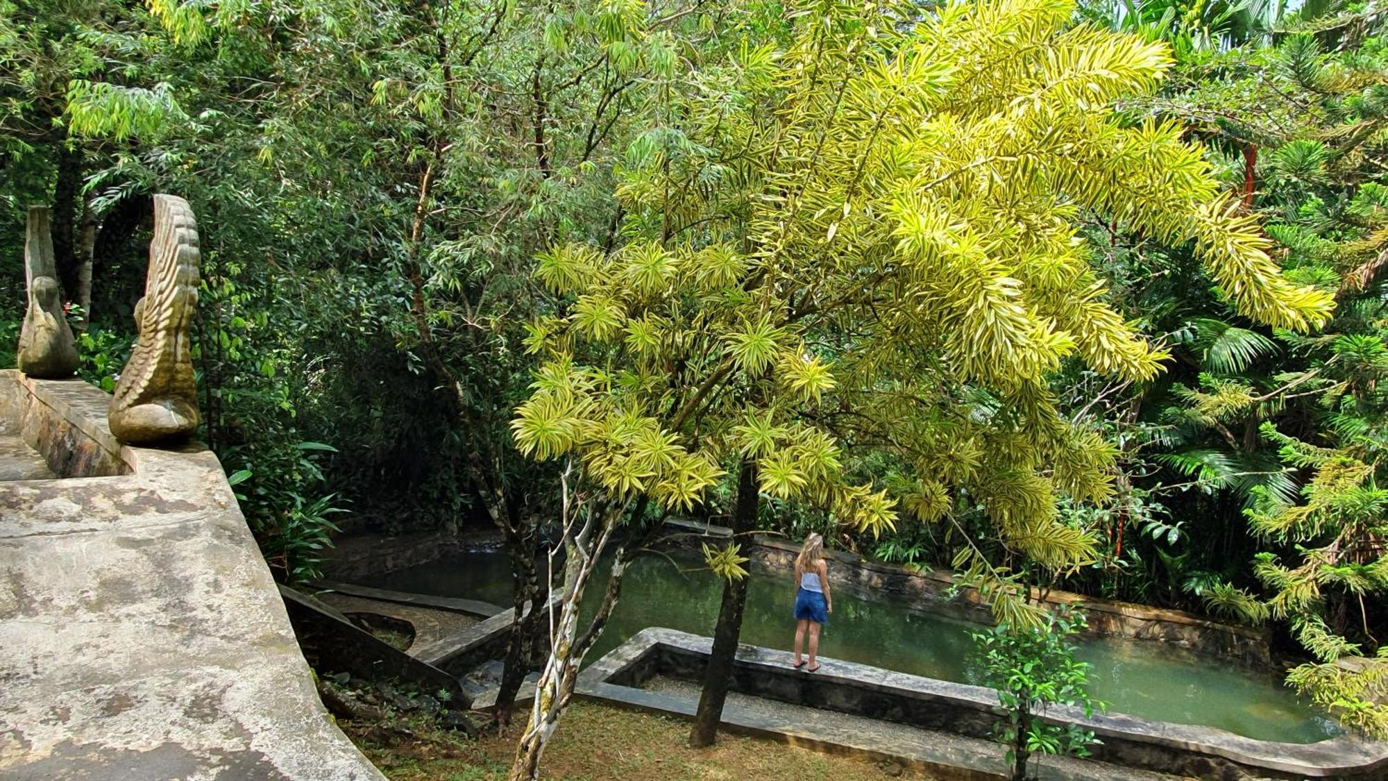 Singharaja Garden Agro Eco Lodge Pelawatta  Zewnętrze zdjęcie