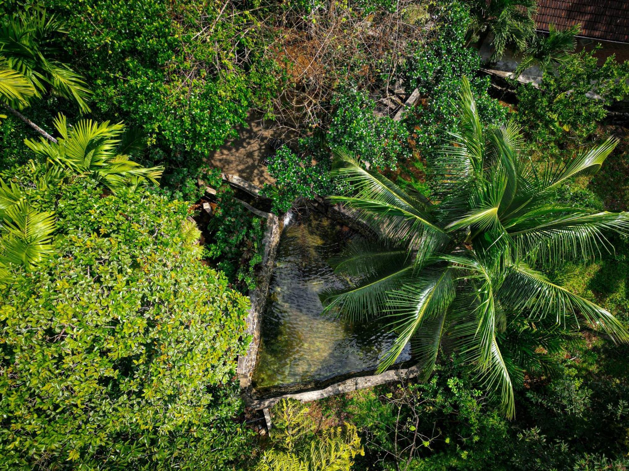 Singharaja Garden Agro Eco Lodge Pelawatta  Zewnętrze zdjęcie