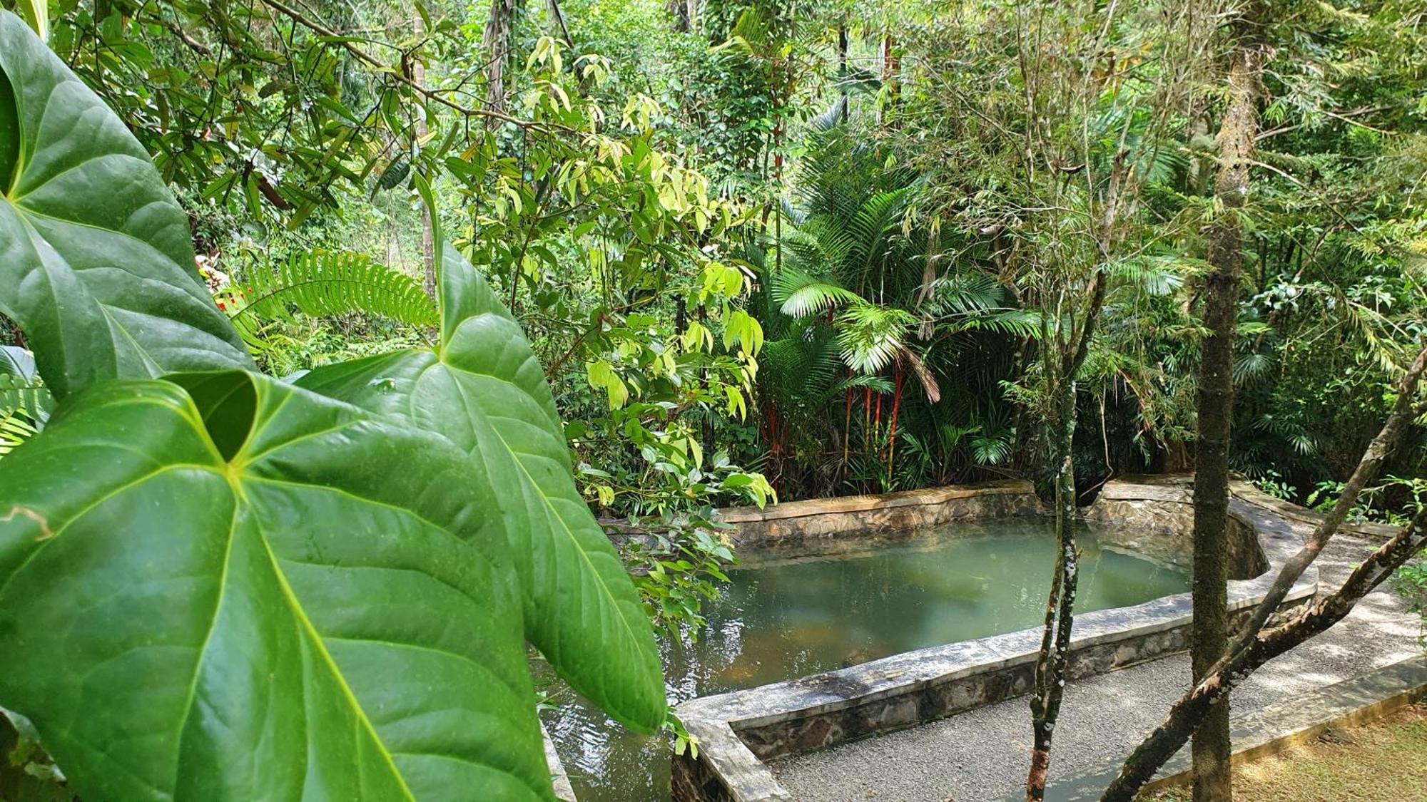 Singharaja Garden Agro Eco Lodge Pelawatta  Pokój zdjęcie