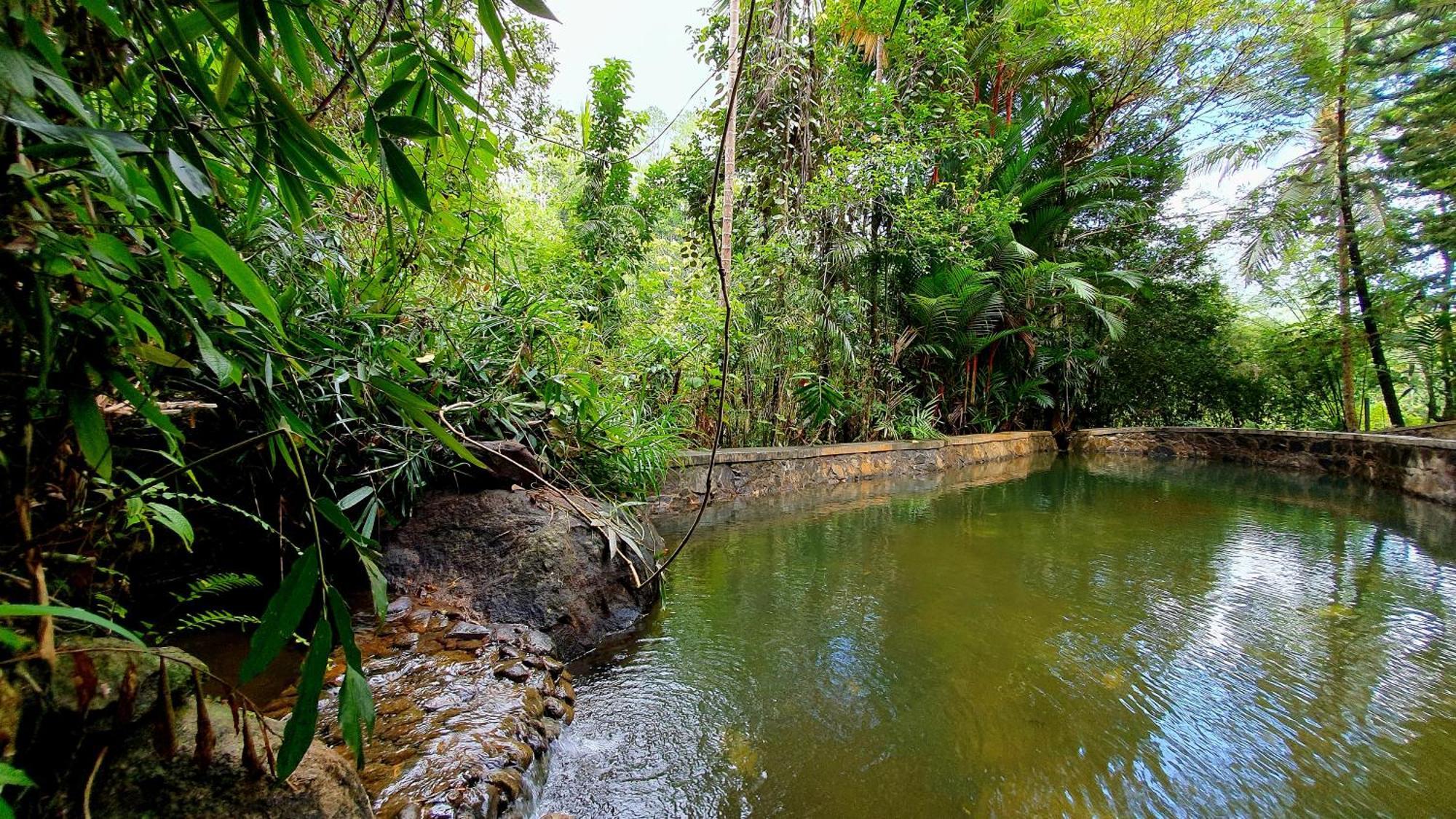 Singharaja Garden Agro Eco Lodge Pelawatta  Pokój zdjęcie